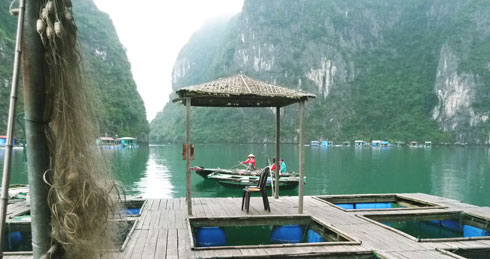 Baia d'Halong, crociera Mekong.